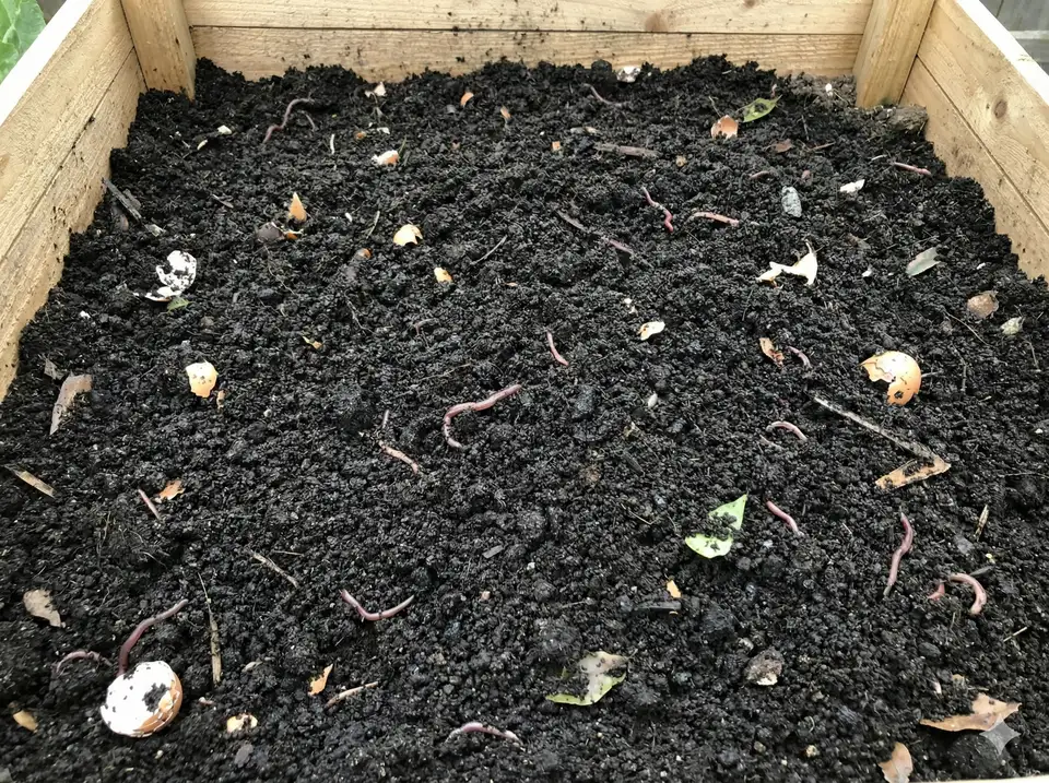Rich finished compost that included loofah materials