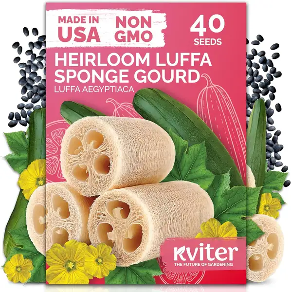 KVITER Luffa Seeds packet