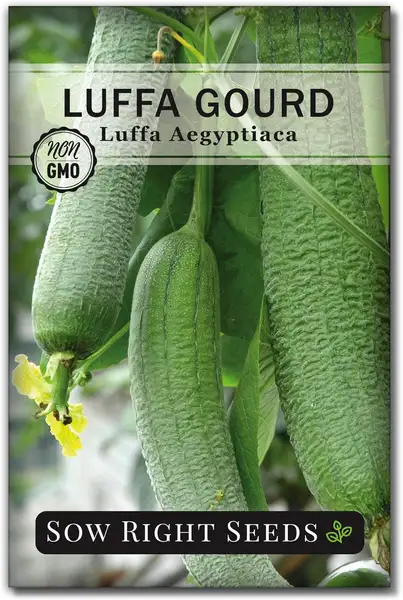 Sow Right Seeds Luffa Gourd Seeds packet